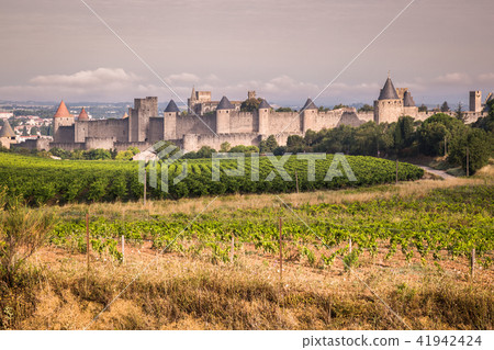 Vineyards growing outside the medieval fortress Vineyards growing outside the medieval fortress 41942424