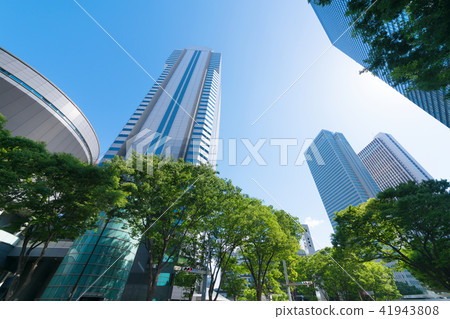 東京風景·新宿·新鮮的綠色·藍天 東京風景·新宿·新鮮的綠色·藍天 41943808
