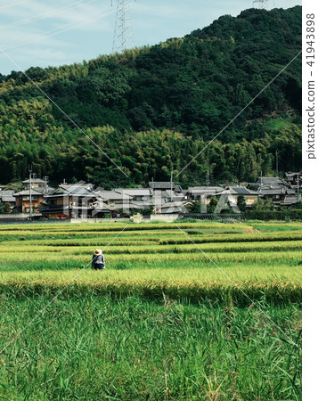 Tanbo Ide district Tanbo Ide district 41943898