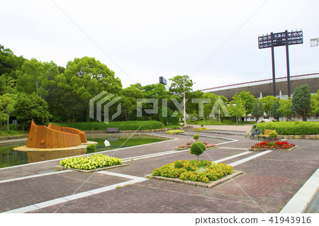 神戶綜合運動公園/兵庫縣神戶市Suma-ku Greenbank 神戶綜合運動公園/兵庫縣神戶市Suma-ku Greenbank 41943916