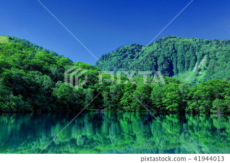 Maruike在初夏 Maruike在初夏 41944013