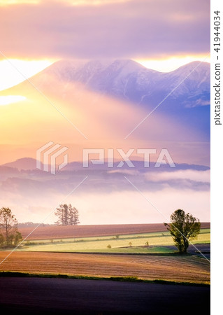 美瑛的黎明 41944034