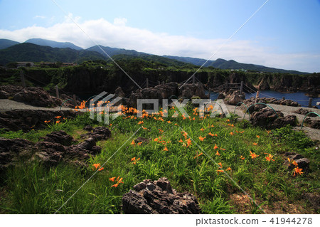 Sawaddi Island Outokai Forest 41944278