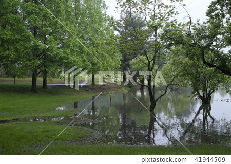 蜻蜓池塘公園的早晨 蜻蜓池塘公園的早晨 41944509