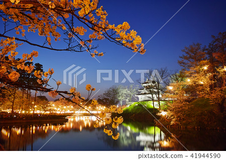 高田公園的櫻花 41944590