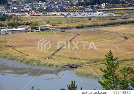 Natural heritage Suncheon Bay! 41944873