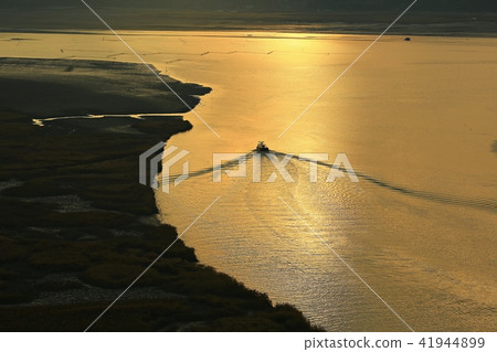 只有Golden Sunchonman！ 41944899