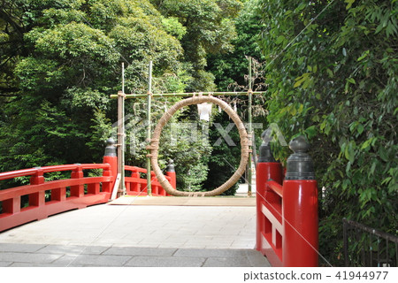 Omiya Hikawa Shrine 41944977