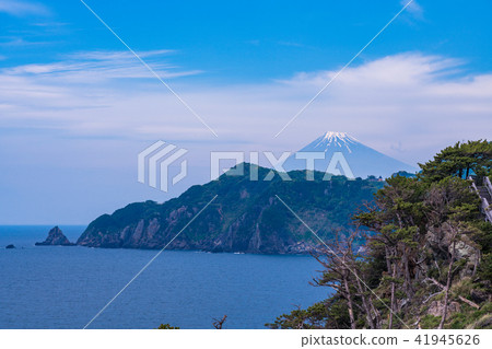 [Shizuoka Prefecture] Nishi Izu Koganezaki coastline, distant view of Mt. Fuji 41945626