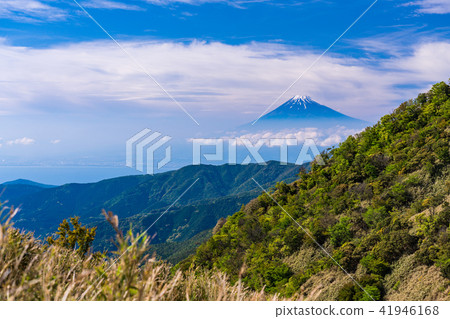 (Shizuoka Prefecture) Mt. Fuji from the Nishi Izu skyline 41946168