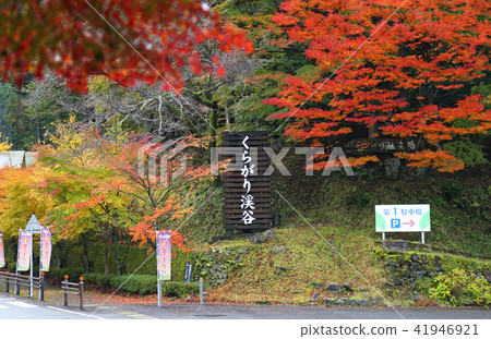 Autumn leaves in Kuragari Gorge, Okazaki City, Aichi Prefecture 41946921