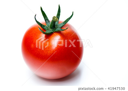  Midi tomato 41947530