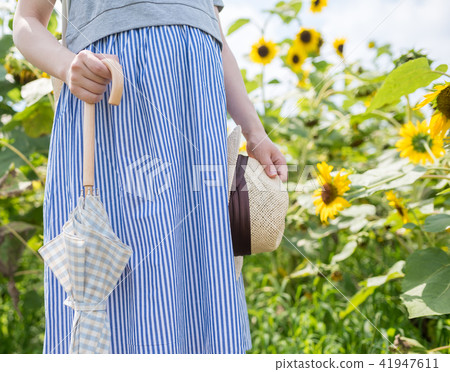 Summer vacation 41947611