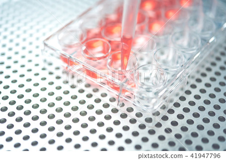 實驗 實驗 41947796