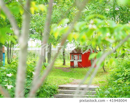 Scenery of English garden 41948004