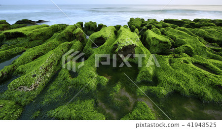 Old Meilu Green Trough - North Coast and Guanyinshan National Scenic Area 41948525