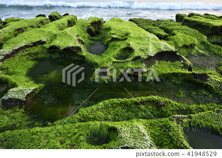 Old Meilu Green Trough - North Coast and Guanyinshan National Scenic Area 41948529