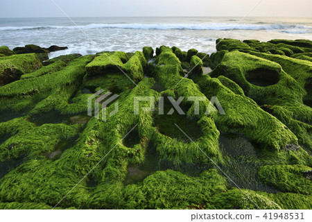 Old Meilu Green Trough - North Coast and Guanyinshan National Scenic Area 41948531