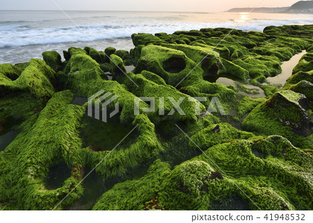 Old Meilu Green Trough North Coast And Stock Photo 41948532 Pixta