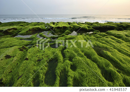 老梅綠石槽-北海岸及觀音山國家風景區 41948537