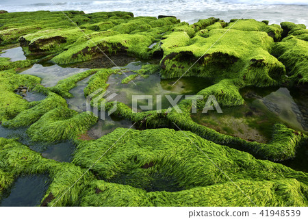 Old Meilu Green Trough - North Coast and Guanyinshan National Scenic Area 41948539