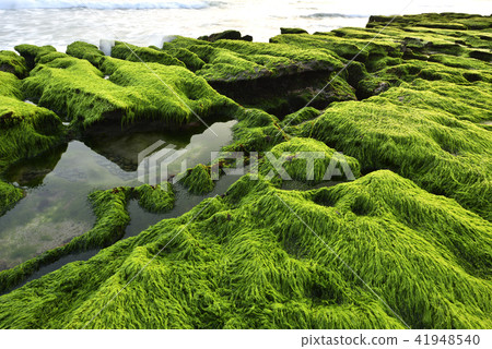 老梅綠石槽-北海岸及觀音山國家風景區 41948540