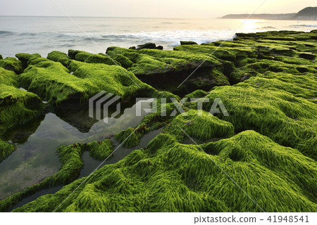 Old Meilu Green Trough - North Coast and Guanyinshan National Scenic Area 41948541