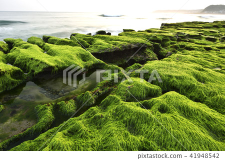 Old Meilu Green Trough - North Coast and Guanyinshan National Scenic Area 41948542