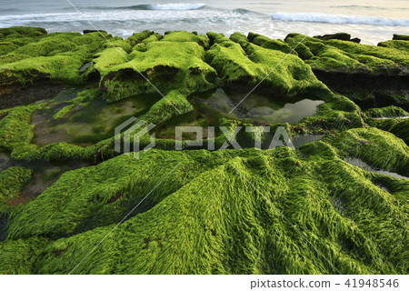 Old Meilu Green Trough - North Coast and Guanyinshan National Scenic Area 41948546