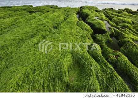Old Meilu Green Trough - North Coast and Guanyinshan National Scenic Area 41948550