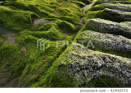 Old Meilu Green Trough - North Coast and Guanyinshan National Scenic Area Old Meilu Green Trough - North Coast and Guanyinshan National Scenic Area 41948553