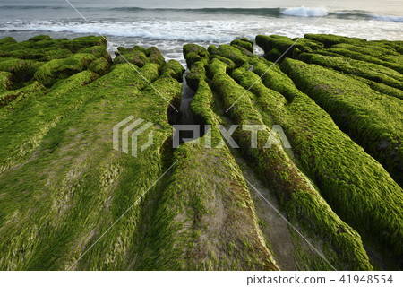 Old Meilu Green Trough - North Coast and Guanyinshan National Scenic Area Old Meilu Green Trough - North Coast and Guanyinshan National Scenic Area 41948554