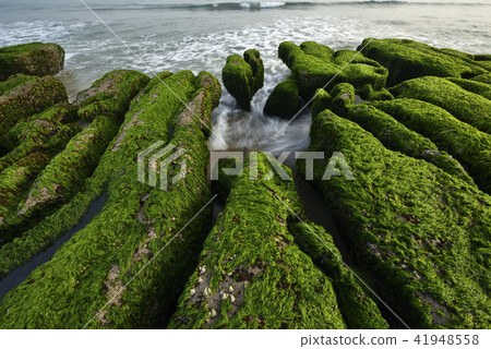 Old Meilu Green Trough - North Coast and Guanyinshan National Scenic Area 41948558