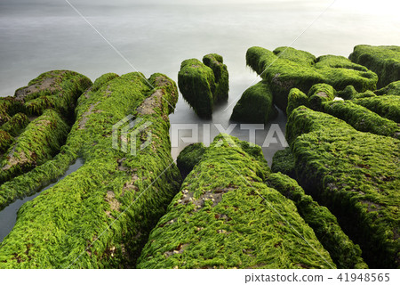 Old Meilu Green Trough - North Coast and Guanyinshan National Scenic Area 41948565