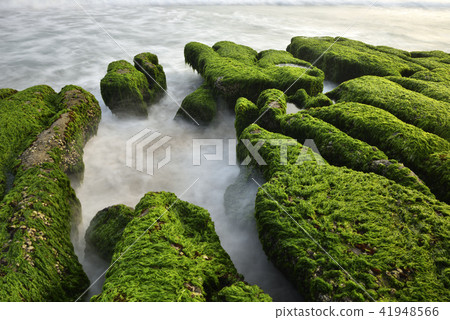 Old Meilu Green Trough - North Coast and Guanyinshan National Scenic Area 41948566