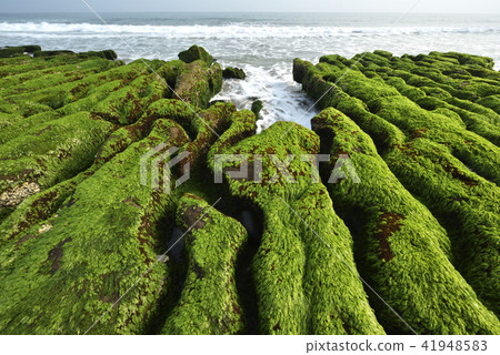 Old Meilu Green Trough - North Coast and Guanyinshan National Scenic Area 41948583