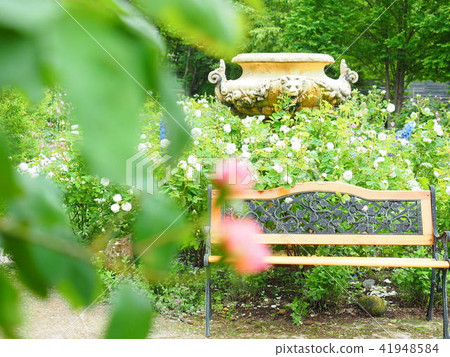 Scenery of English garden 41948584