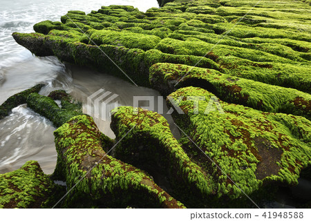 Old Meilu Green Trough - North Coast and Guanyinshan National Scenic Area 41948588