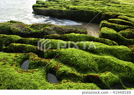 Old Meilu Green Trough - North Coast and Guanyinshan National Scenic Area 41948589