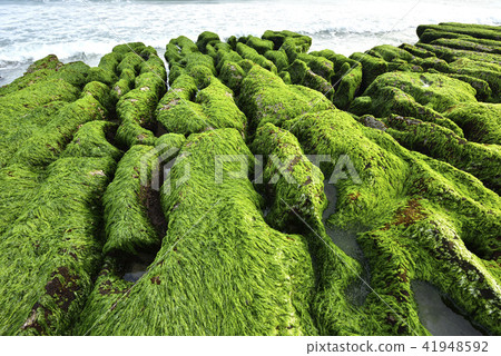 老梅綠石槽-北海岸及觀音山國家風景區 41948592