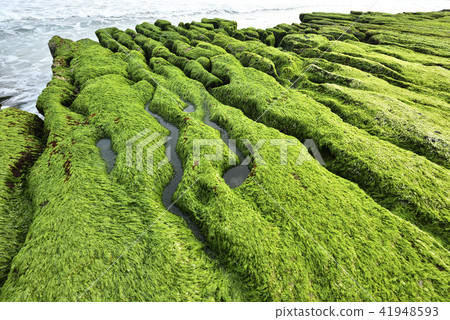 老梅綠石槽-北海岸及觀音山國家風景區 老梅綠石槽-北海岸及觀音山國家風景區 41948593