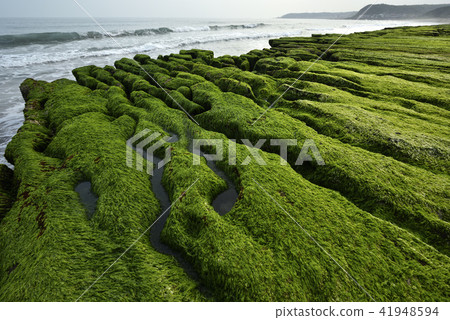 Old Meilu Green Trough - North Coast and Guanyinshan National Scenic Area Old Meilu Green Trough - North Coast and Guanyinshan National Scenic Area 41948594