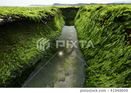 老梅綠石槽-北海岸及觀音山國家風景區 41948609