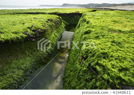 Old Meilu Green Trough - North Coast and Guanyinshan National Scenic Area 41948611