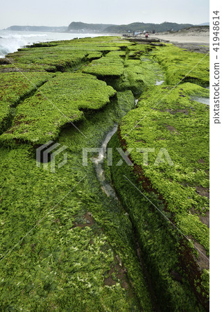 老梅綠石槽-北海岸及觀音山國家風景區 老梅綠石槽-北海岸及觀音山國家風景區 41948614