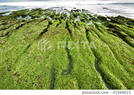 Old Meilu Green Trough - North Coast and Guanyinshan National Scenic Area 41948615