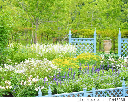 Scenery of English garden 41948686