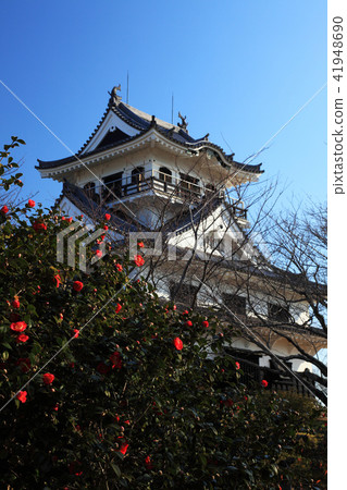 Tateyama castle in early spring Tateyama castle in early spring 41948690