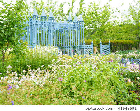 Scenery of English garden Scenery of English garden 41948691