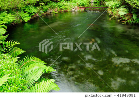 白川水源 41949091